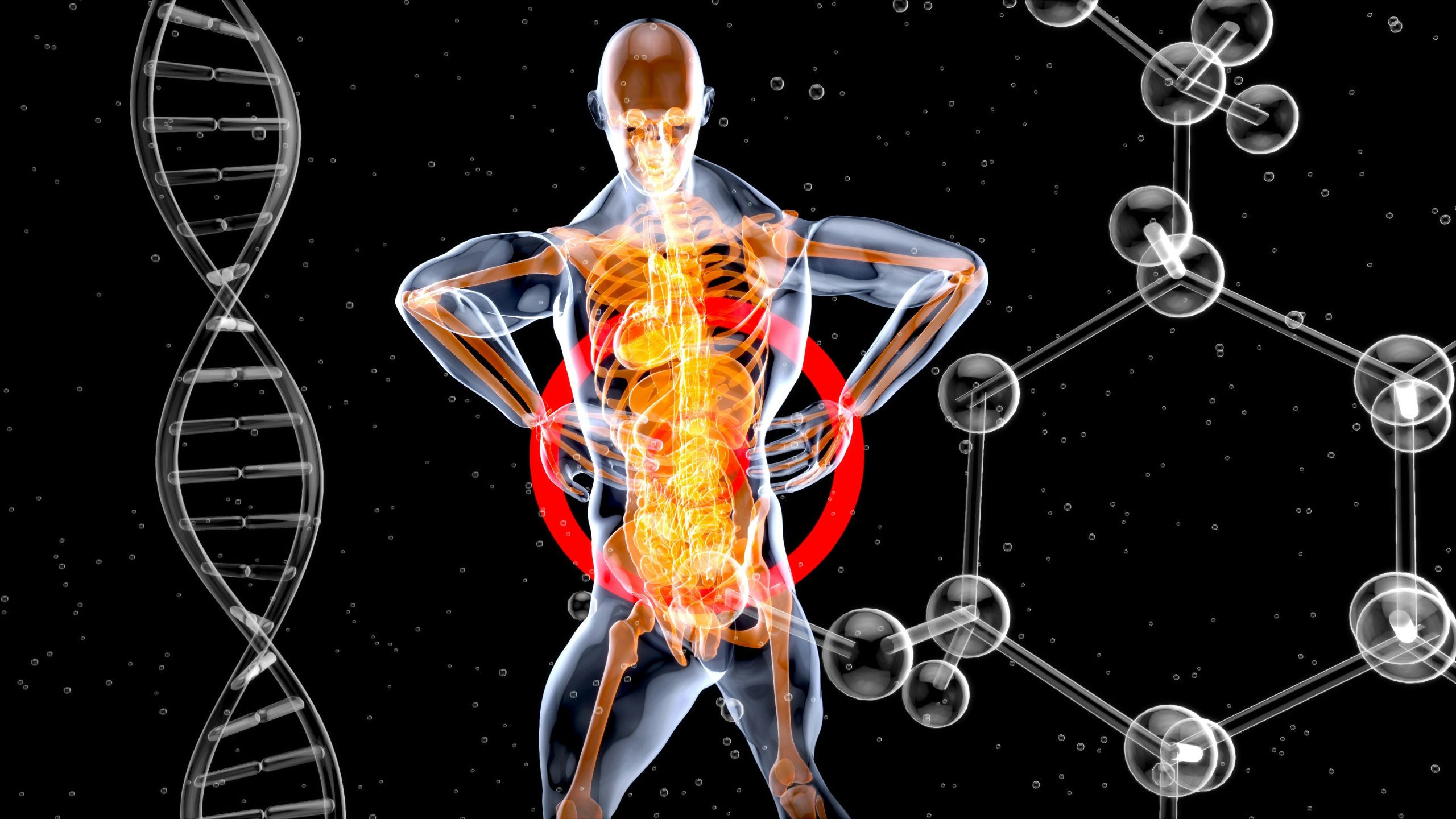 El Dolor de Espalda que No Siempre es Muscular: La Alerta Oculta de tus Riñones y el Exceso de Sodio